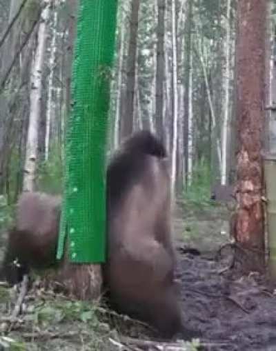 Reminds me of Yikes&hellip;