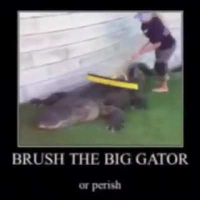 Lagarto