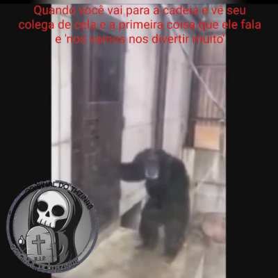 Socorro