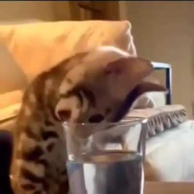 O.O