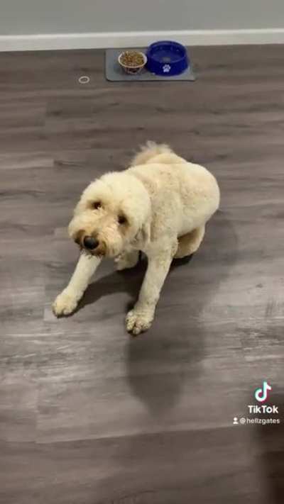 Every time I sing, my dog starts scratching.