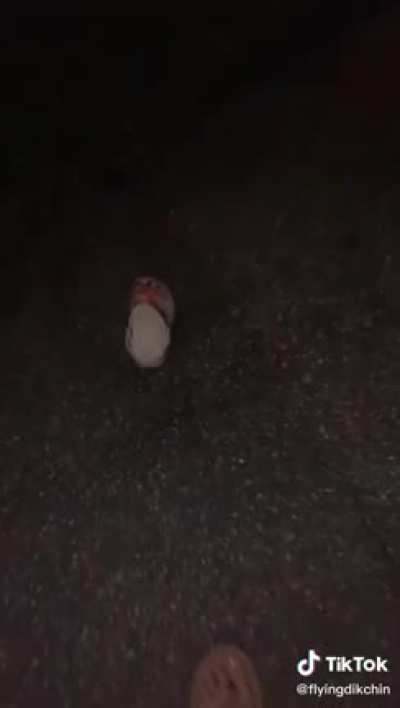 best one I have found so-far