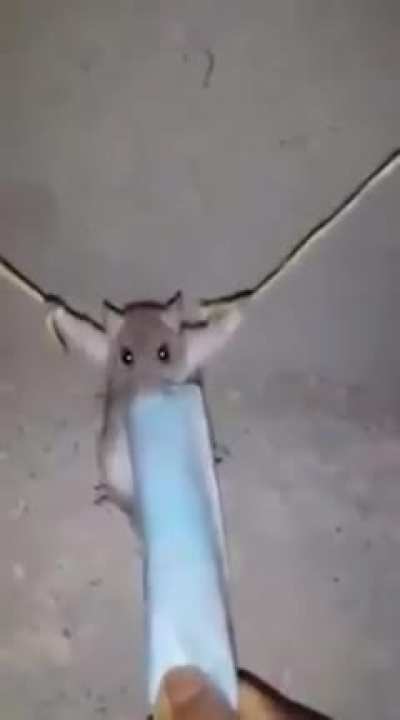 Mamahuevo