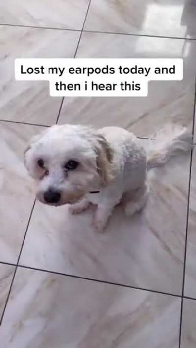 Pobrecito