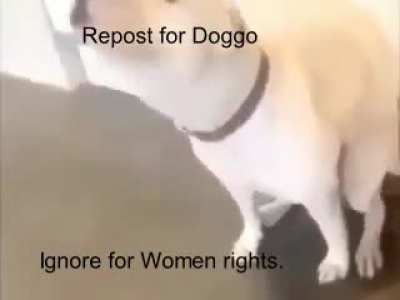 Rule 1