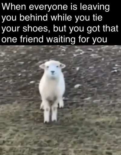 Thanks a lot bro