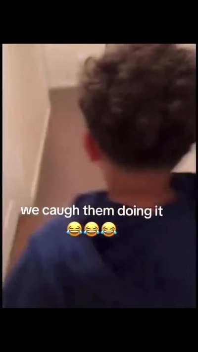 What the dog doin