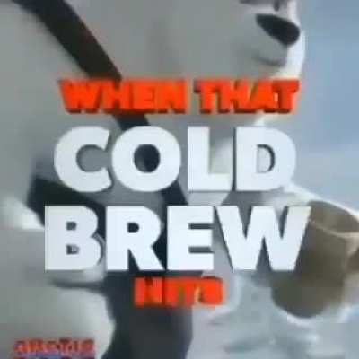 mold brew