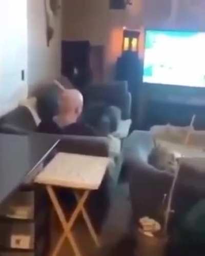 what the dog doin