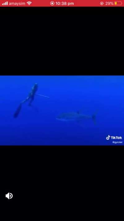 Underwater scream