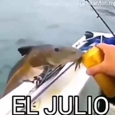 Mi pana