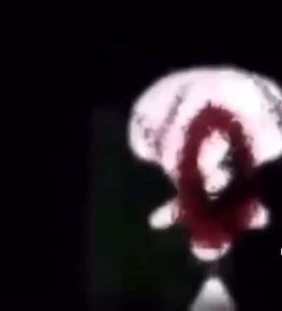 sh*tpost I found