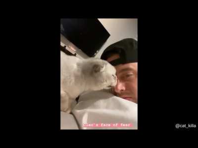 Cat freaks out when owner licks back