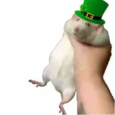 Give me more gold you useless rodent