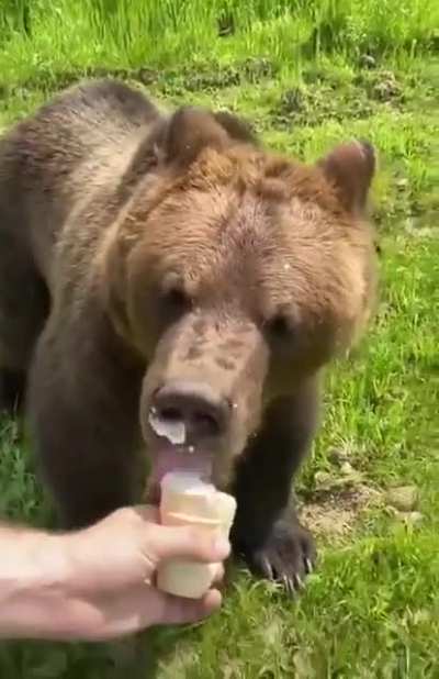 Chasing the ice cream truck