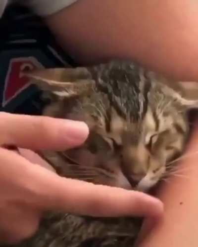 We can all use a little help