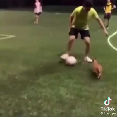Soccer flop