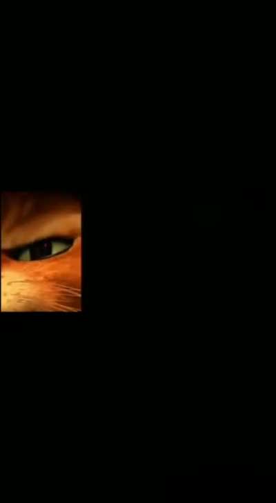 El gatinho del bota