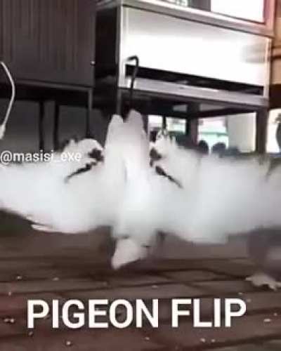 Sabían que la...