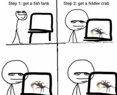 Crab