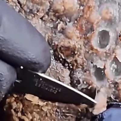 Trypophobia on a &lsquo;hole&rsquo; new level . 