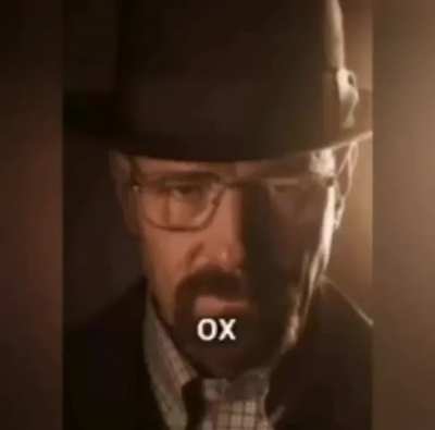 Boi em ingl&ecirc;s