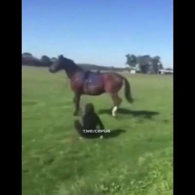 Horse freaking out over here