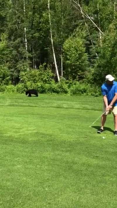 My stepdad won&rsquo;t let that bear play through.