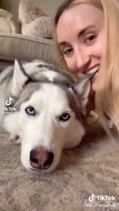 Trend for dog owners comes to its &ldquo;natural&rdquo; conclusion