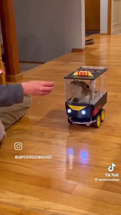Rat cars!