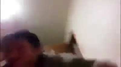 El perro ctmre de mi vecino cuando escucha el m&aacute;s m&iacute;nimo ruido