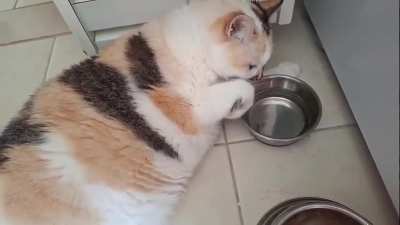 não sabia que BOTIJÃO bebia água