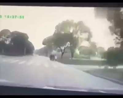 Strike!