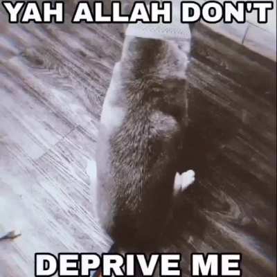 والله العظيم يرحمك بركاته🙏🙏