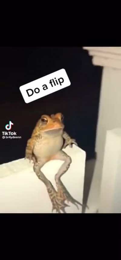 Do a flip.