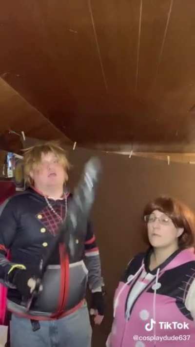 The kingdom hearts fanbase in general is cringe