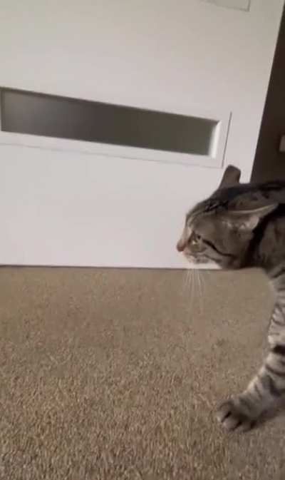 "Who in hell is that?!"