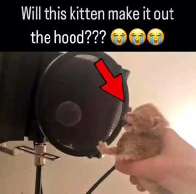 unrelated post to see if mods will do anything about it