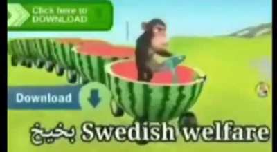 funi monke