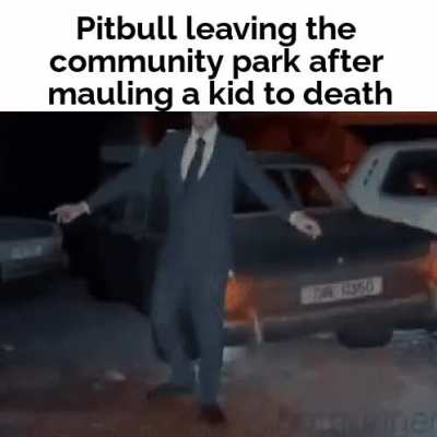 Pitbull 💪 Kid🤮