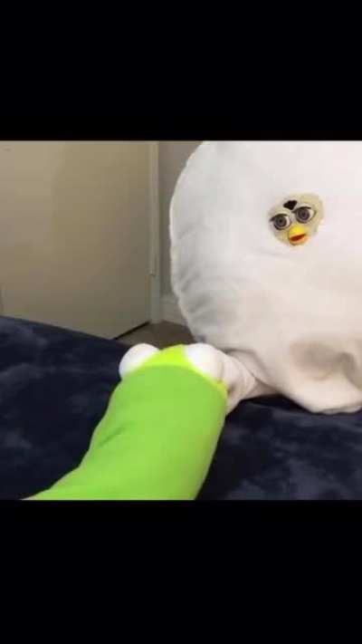 Cursed_kermit