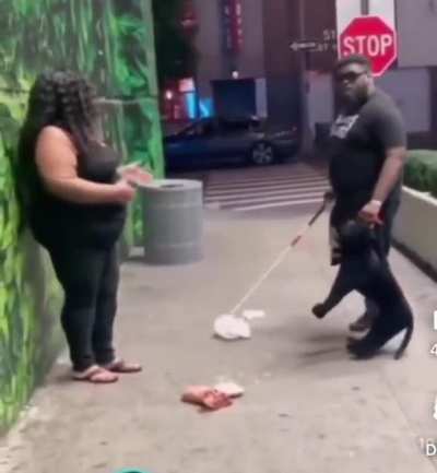 Blind man&rsquo;s dog attacks woman