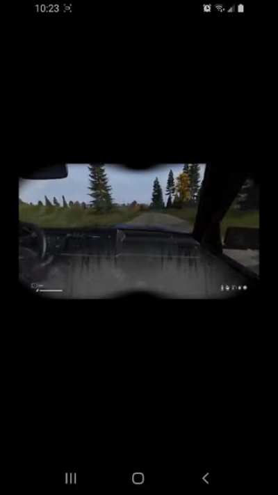 DAYZ