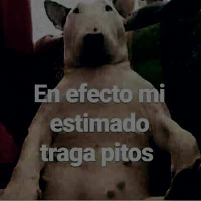 enefecto