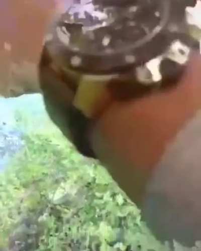 Wow
