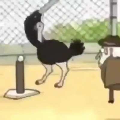 It&rsquo;s the ostrich thing with the balls