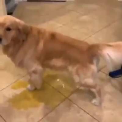 Bruh