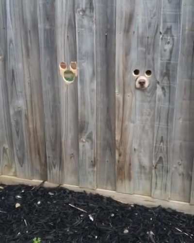 🙄 he's coming,,, Let's open the door😑🙄