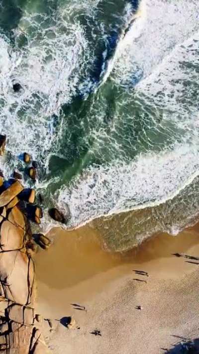 Praia Mole - Florianópolis, ontem de tarde 💙💚 @pedromagrod