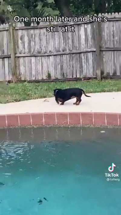 "Not on my watch!"